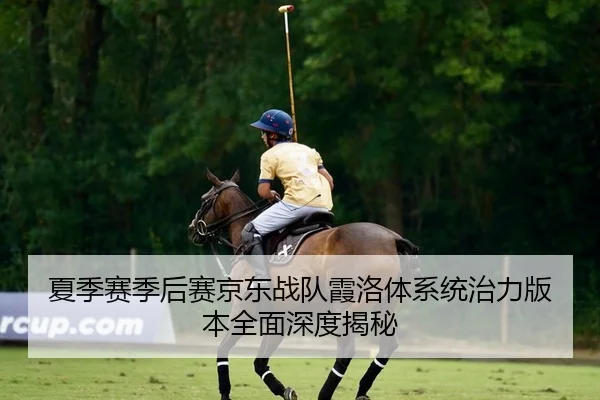 夏季赛季后赛京东战队霞洛体系统治力版本全面深度揭秘
